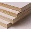 Premium Okoume Plywood from Thailand